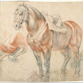 Etude of horse 