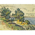 Paysage Cotier Aux Arbres 