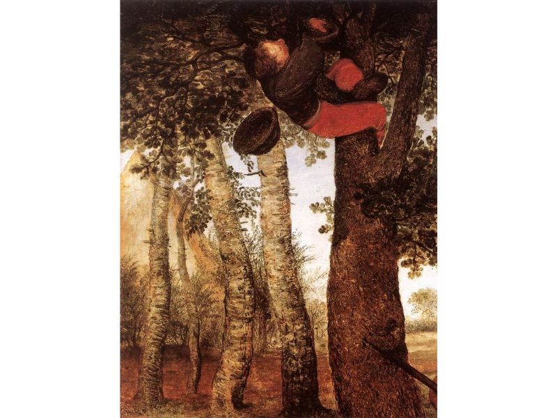 The Peasant and the Birdnester 2