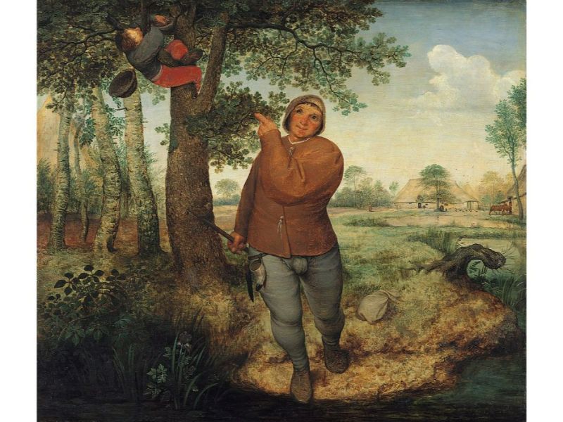 The nest thief