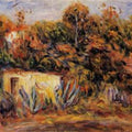 Cabin With Aloe Plants 