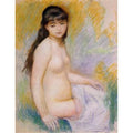 Seated Bather2 by Pierre Auguste Renoir