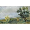 Paysage, Arbres Au Premier Plan Et Fond De Mer