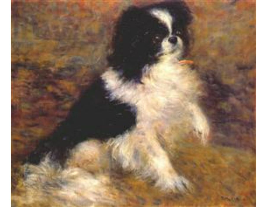 Tama the japanese dog by Pierre Auguste Renoir