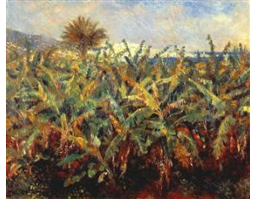 Field Of Banana Trees by Pierre Auguste Renoir