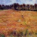 Path Through The High Grass 