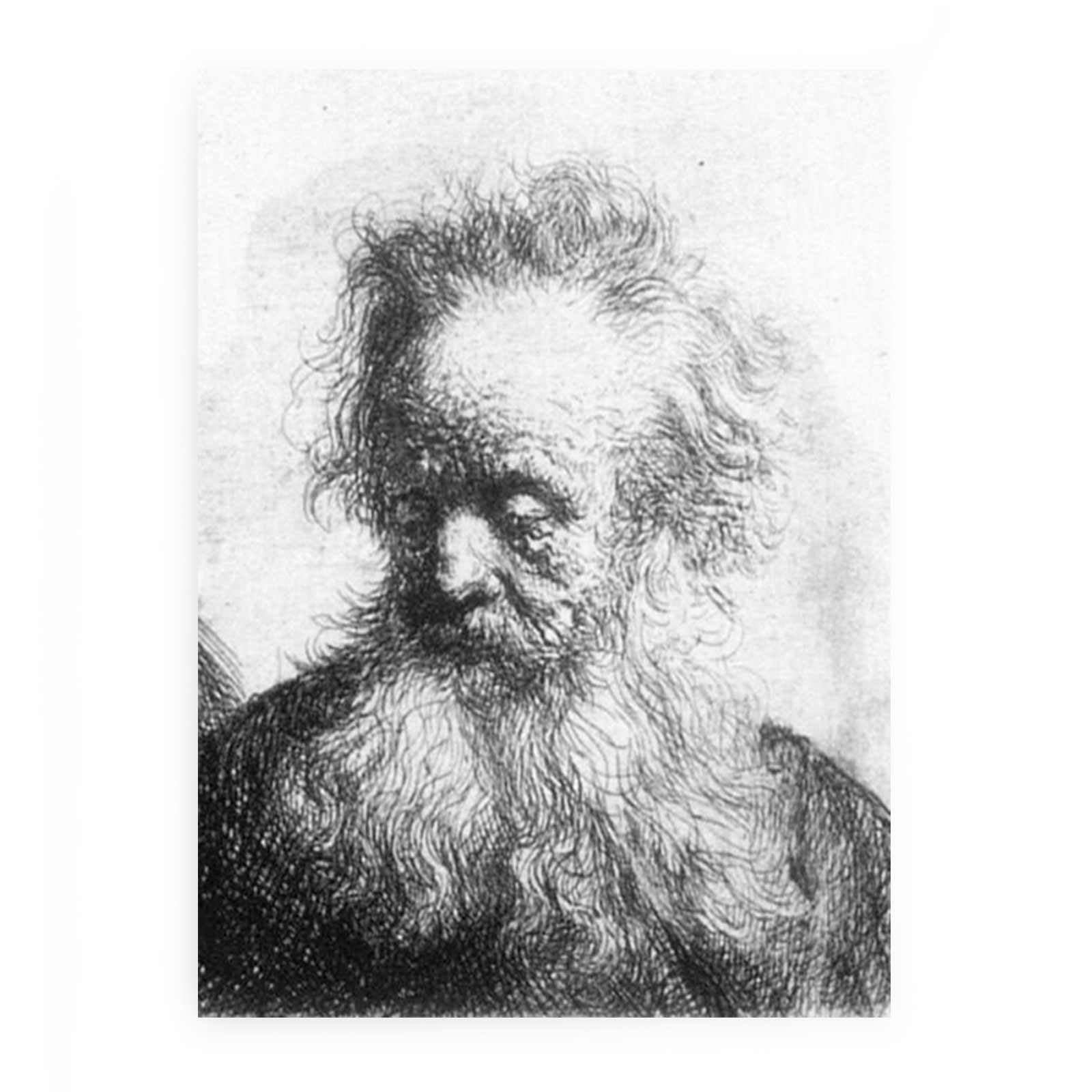 Old Man With Flowing Beard Looking Down Left 1631 Painting