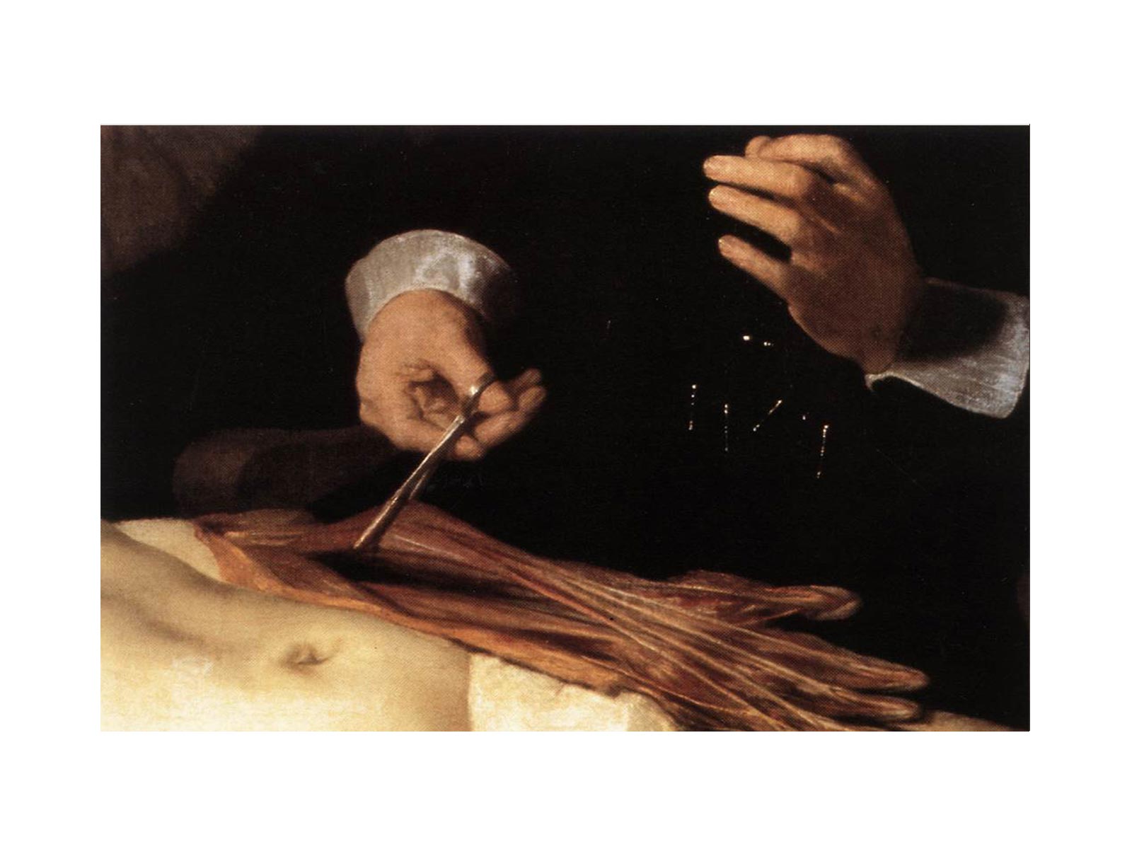 The Anatomy Lecture of Dr. Nicolaes Tulp (detail) 1632
 Painting