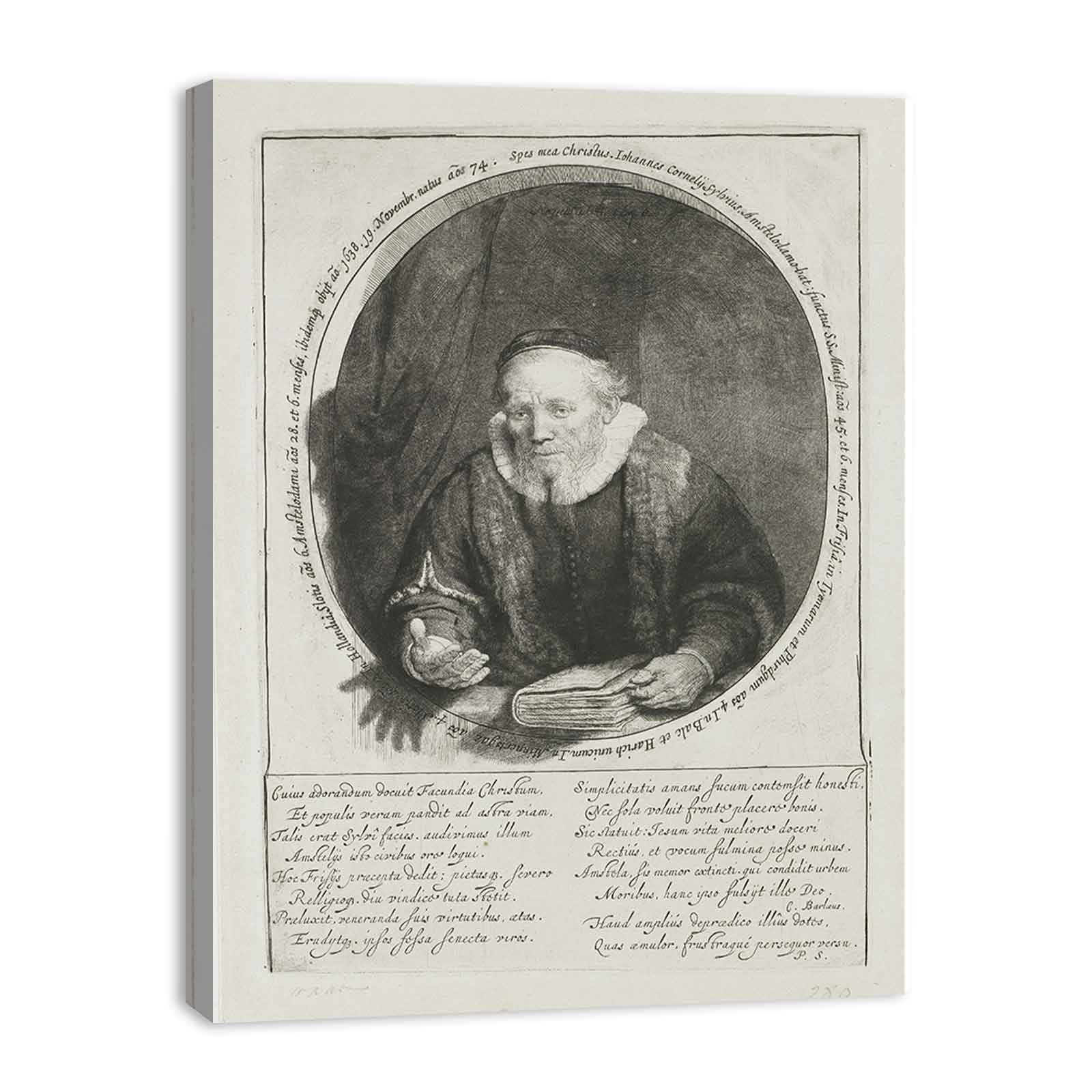 Portrait Of Johannes Cornelisz Painting