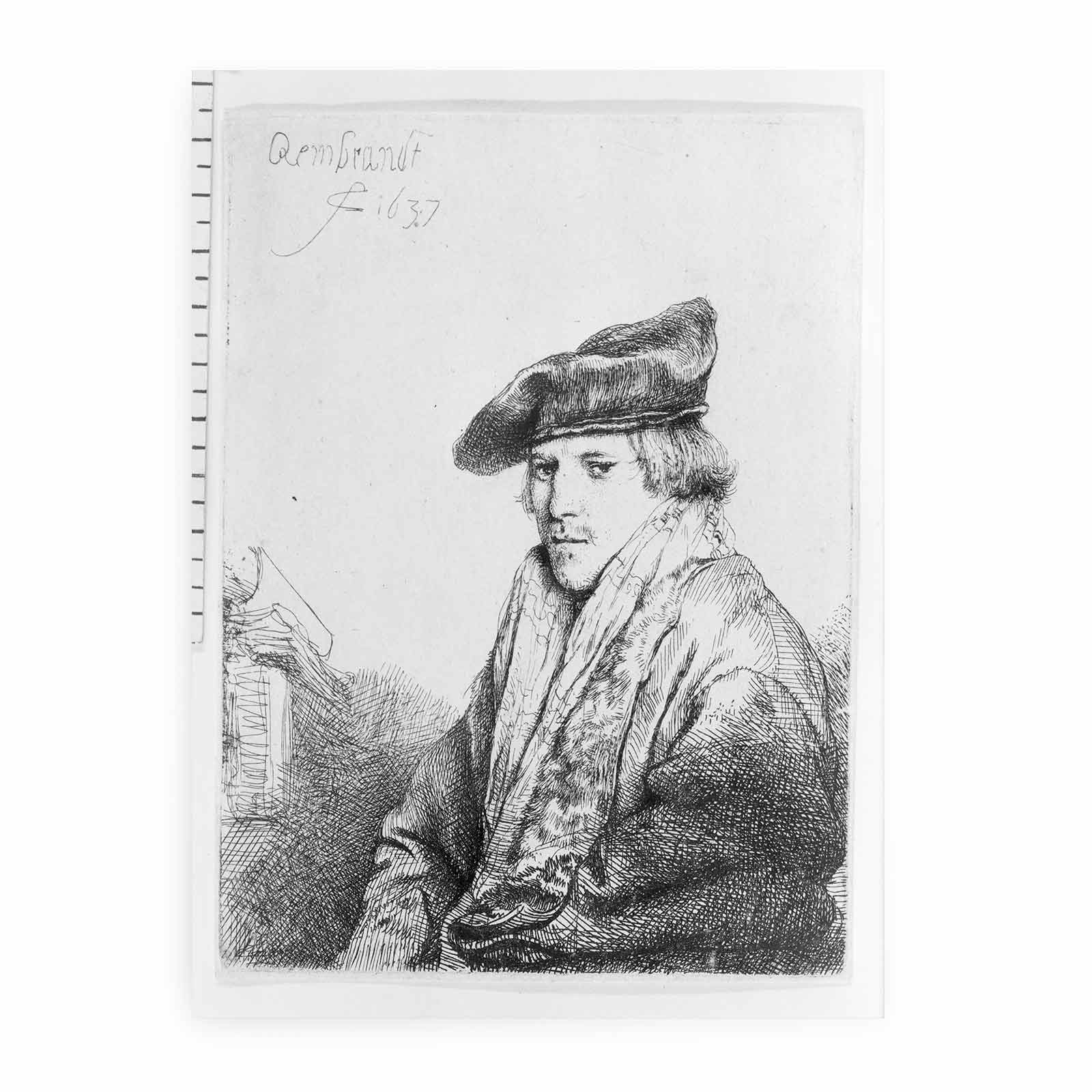 A Young Man in a Velvet Cap (Ferdinand Bol) Painting