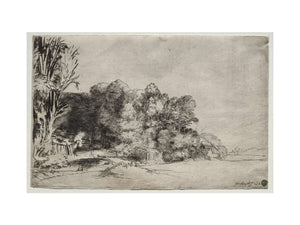 Clump of Trees with a Vista Painting