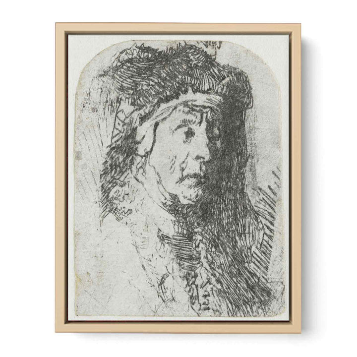 Bust of an old Woman in a furred Cloak and heavy Headdress
 Painting