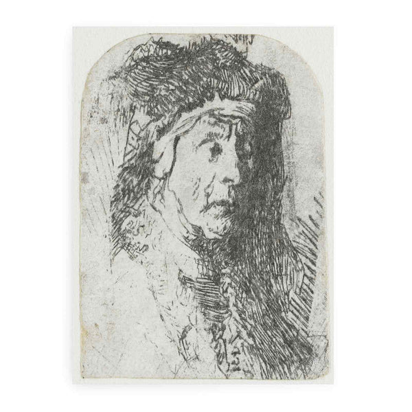 Bust of an old Woman in a furred Cloak and heavy Headdress
 Painting