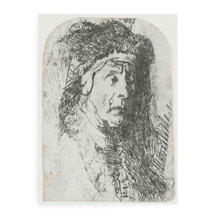 Bust of an old Woman in a furred Cloak and heavy Headdress
 Painting