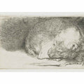 A sleeping Puppy Painting