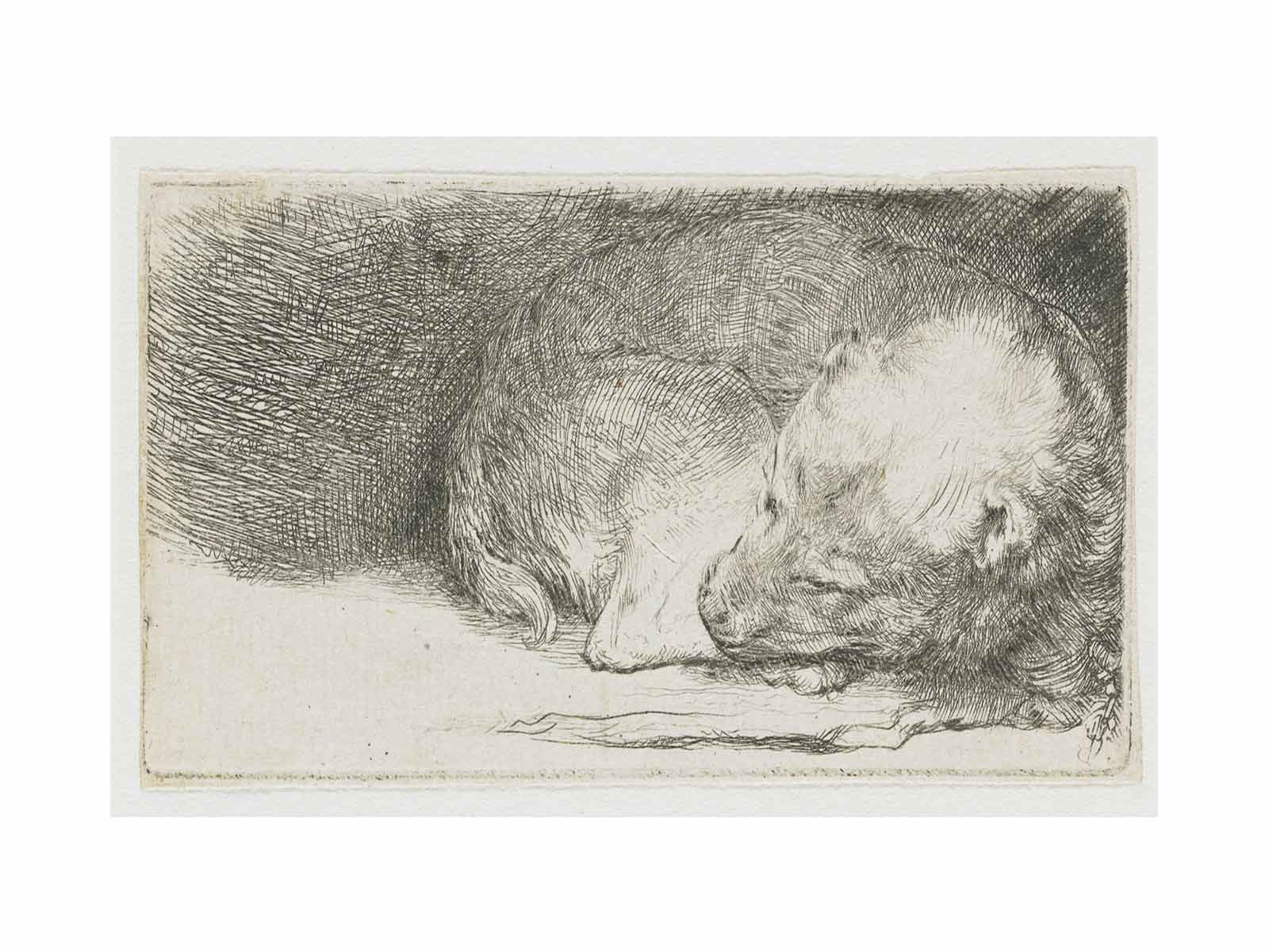 A sleeping Puppy Painting