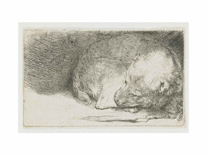 A sleeping Puppy Painting