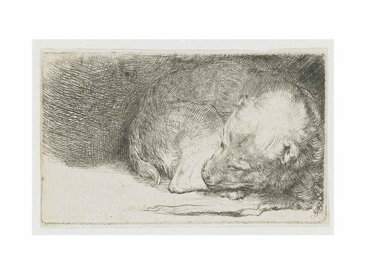 A sleeping Puppy Painting