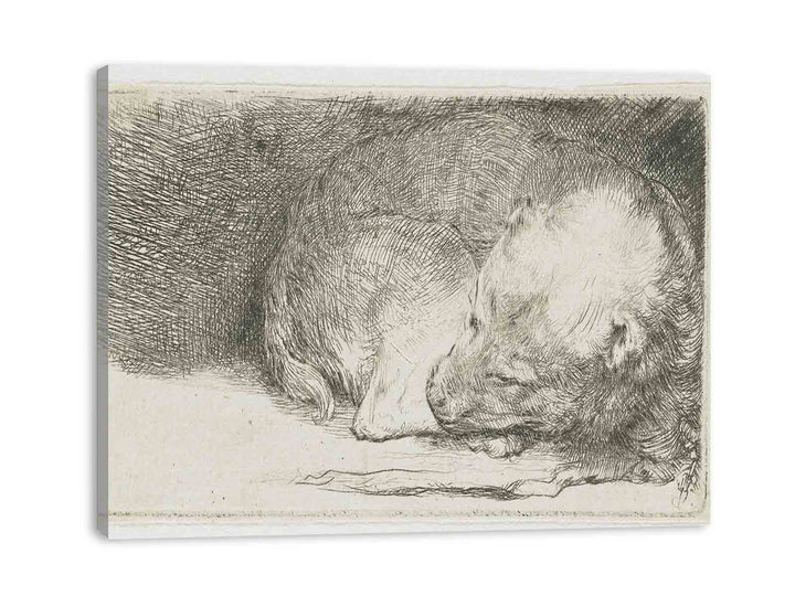 A sleeping Puppy Painting