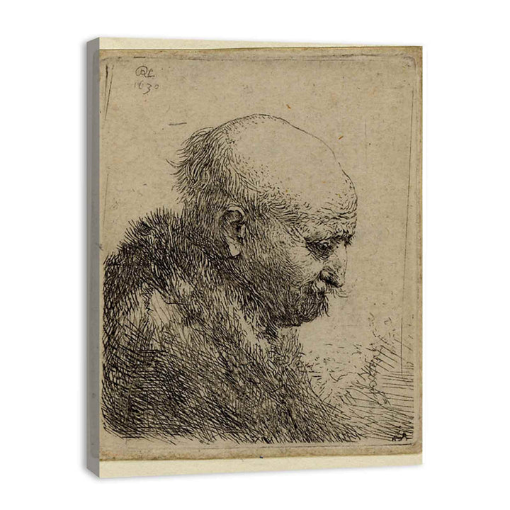 A bald-headed Man in Profile right Painting