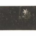 The Star of the Kings A Night Piece Painting