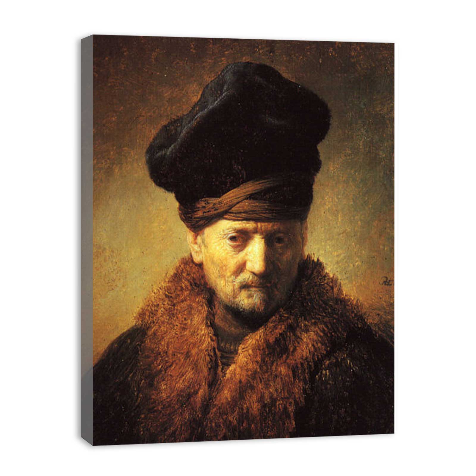 Bust of an Old Man in a Fur Cap 1630 Painting