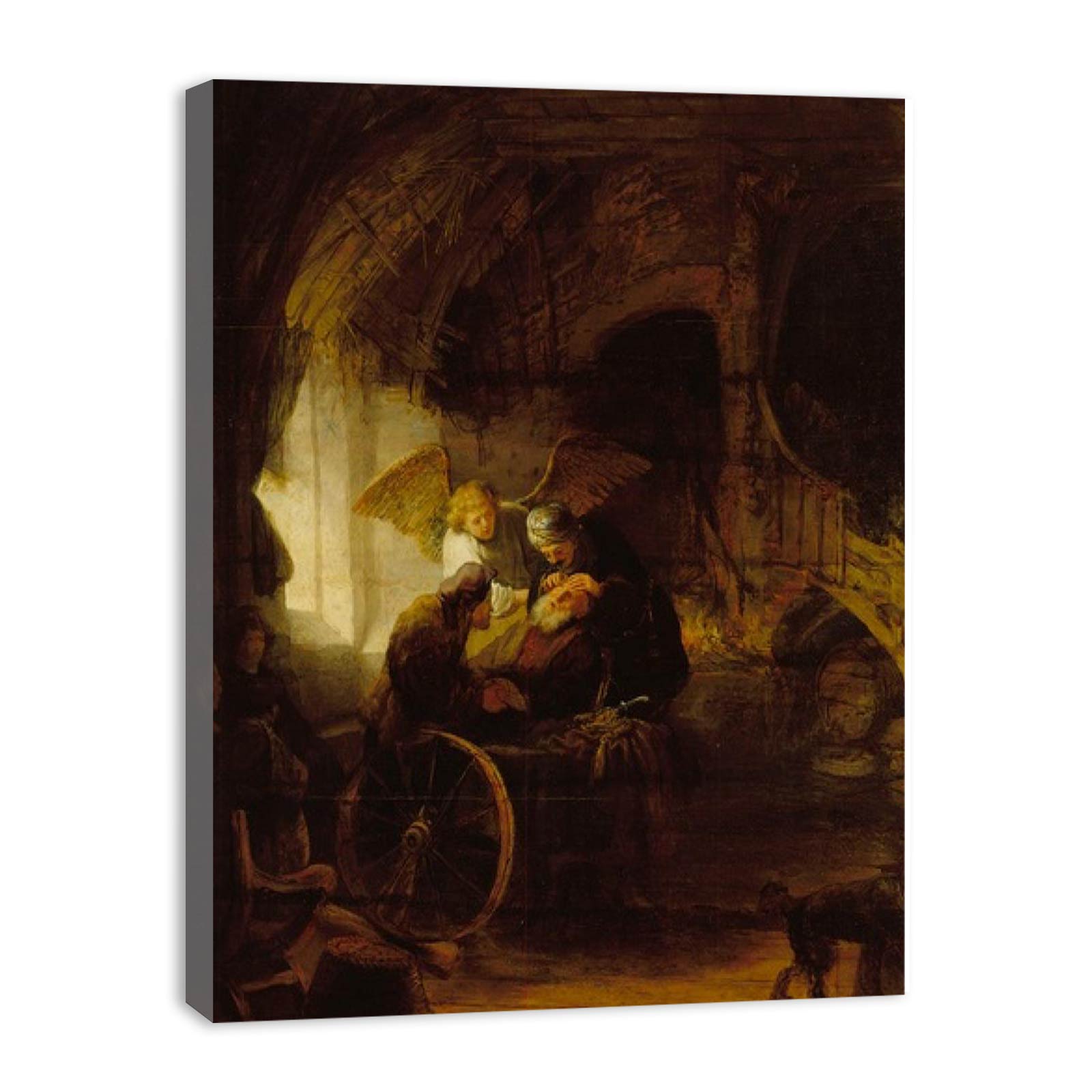 Tobit is Healed by His Son Painting