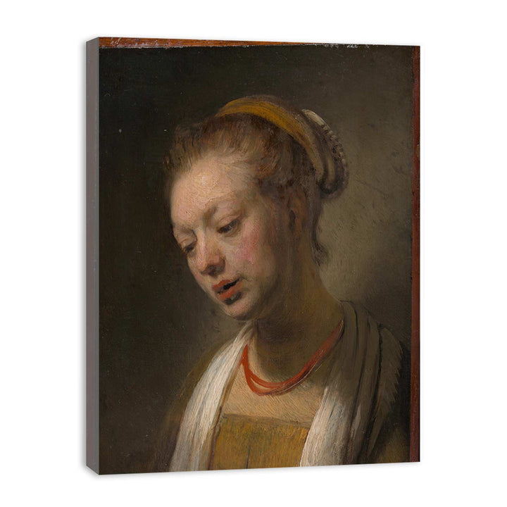 Young Woman with a Red Necklace
 Painting