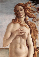 The Birth of Venus (detail 2) c. 1485 artwork preview