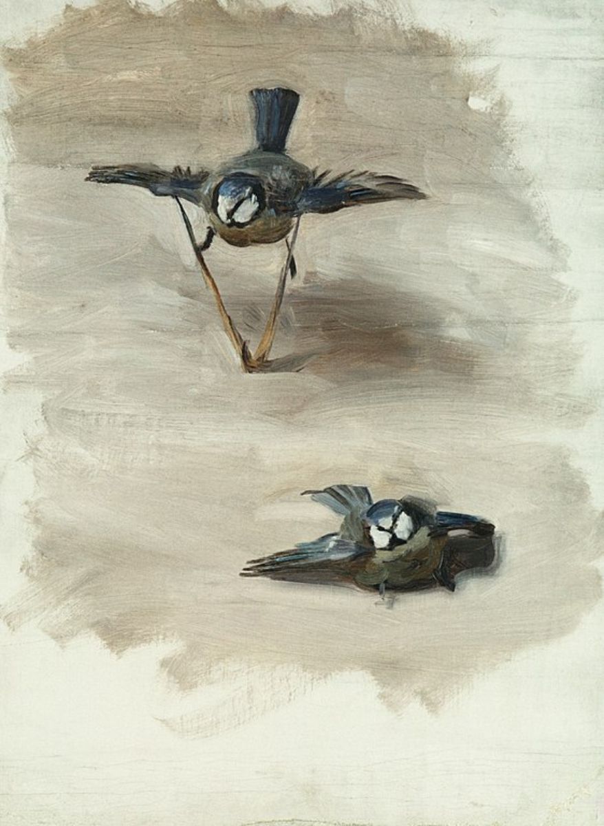 Study of a Dead Bird Painting by John Singer Sargent