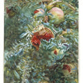 Pomegranates II Painting by John Singer Sargent