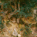 Valdemosa, Majorca: Thistles and Herbage on a Hillside Painting  by John Singer Sargent
