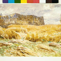 Camouflaged Field in France 1918 Painting by John Singer Sargent