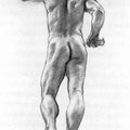 Standing Male Figure 
