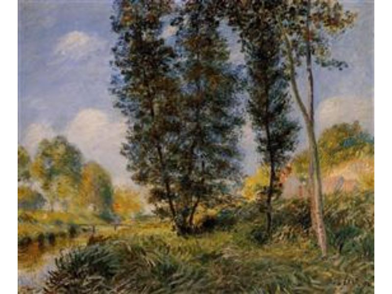 Banks of the Orvanne