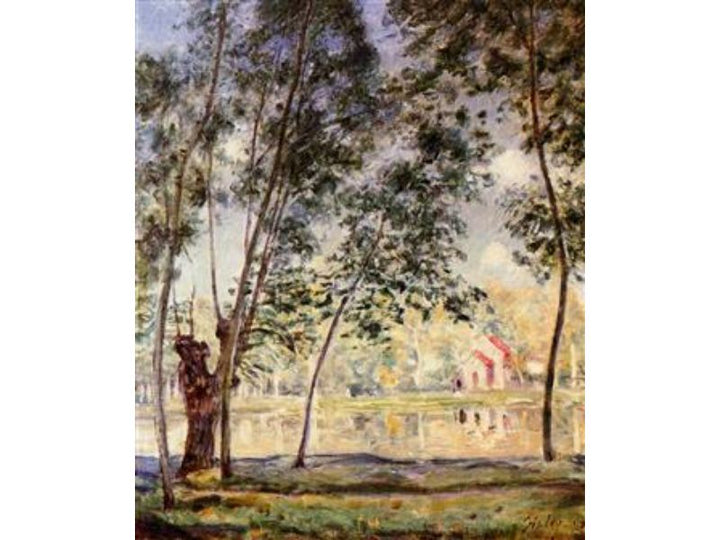 Sunny Afternoon - Willows by the Loing