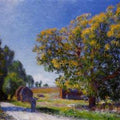 Fields around the Forest