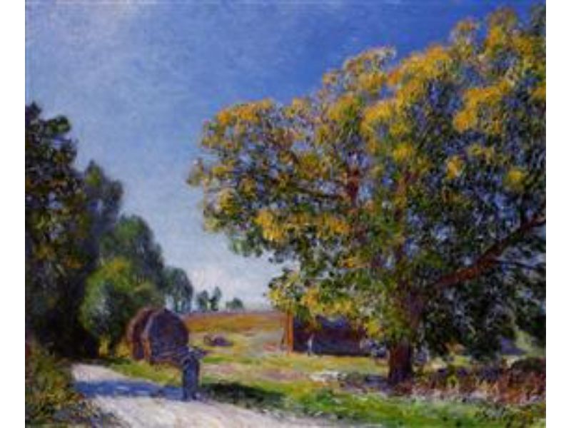 Fields around the Forest