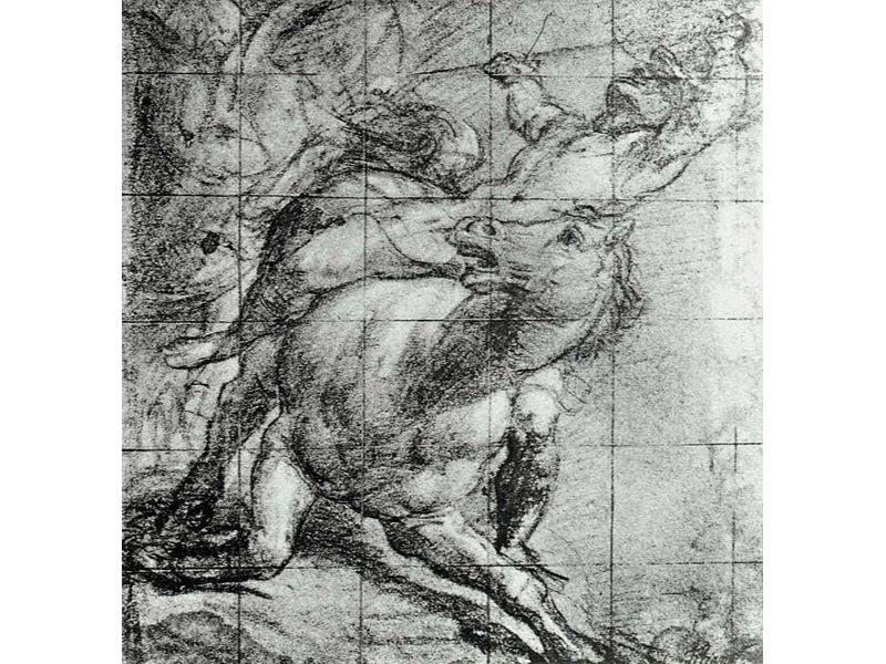 Horse and Rider
