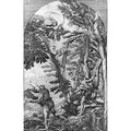 The Death of St Peter Martyr (draw)