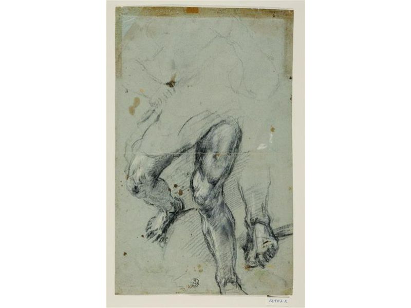 Study of legs