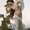 Laurore