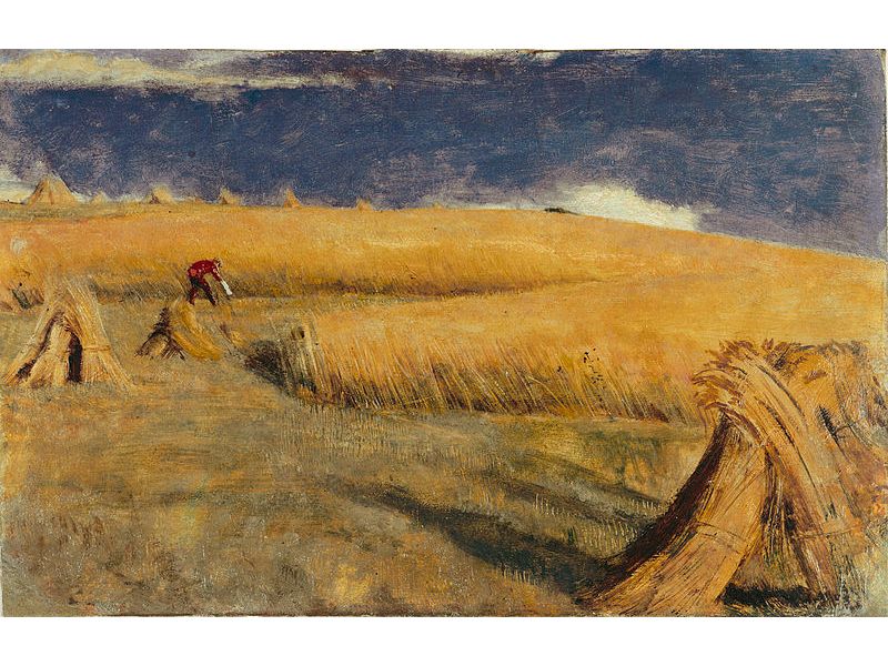 Cornfield at Ewell