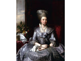 Queen Charlotte 2 artwork preview