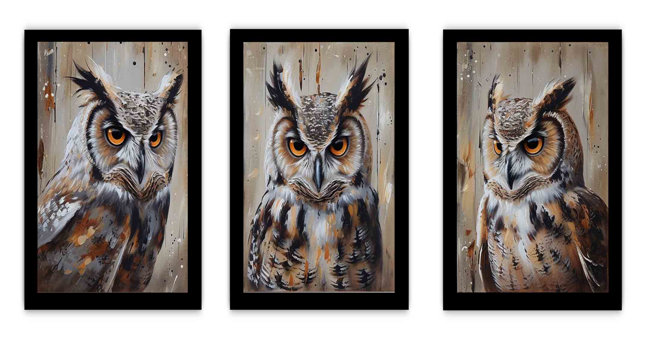 Owl  3 Piece  Art Set