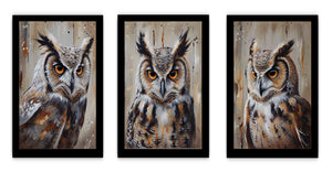 Owl  3 Piece  Art Set