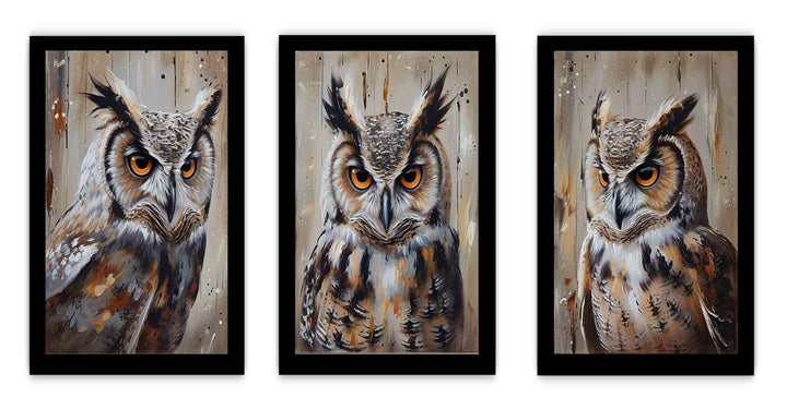 Owl  3 Piece  Art Set