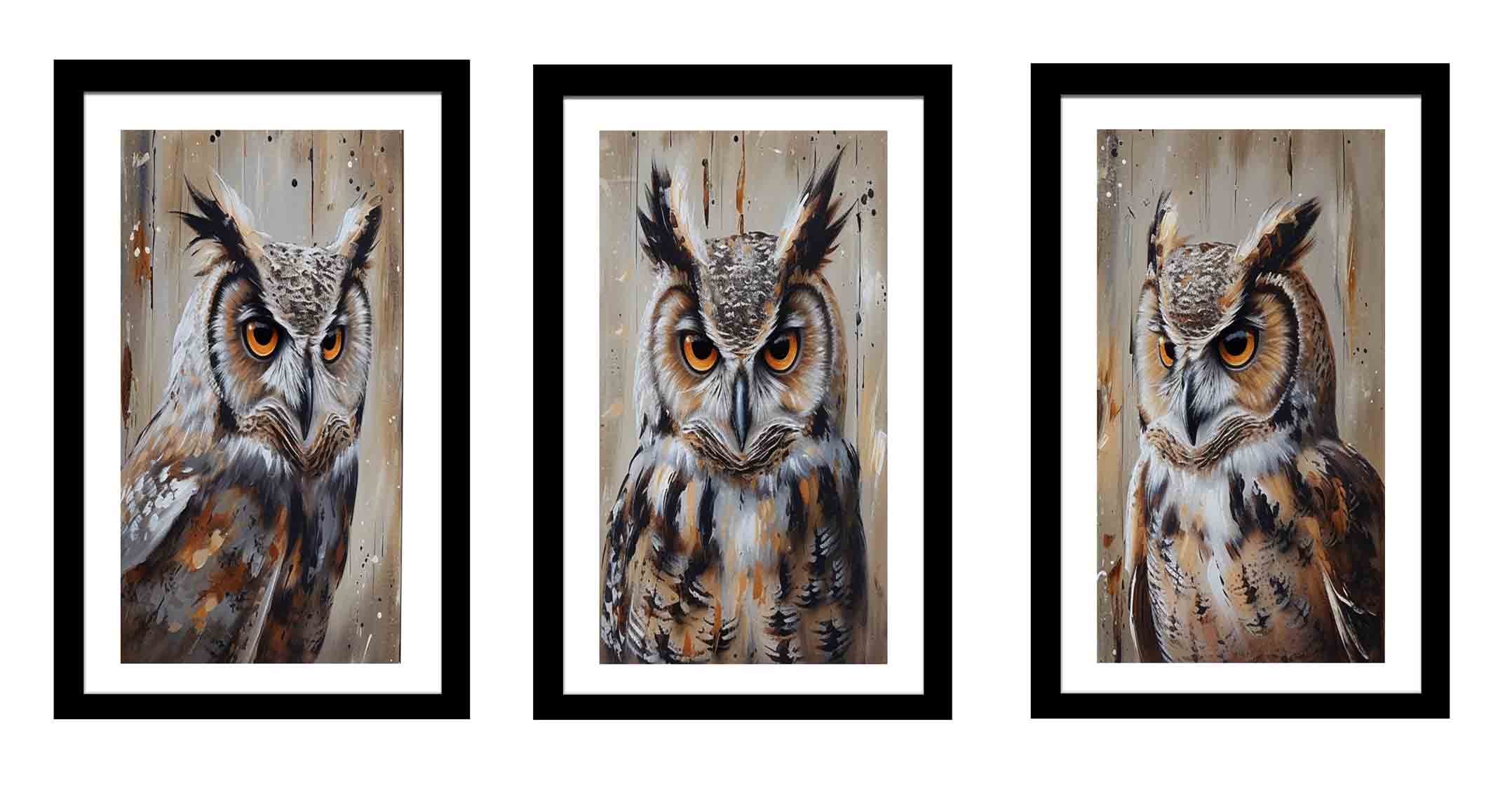 Owl  3 Piece  Art Set