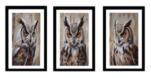 Owl  3 Piece  Art Set