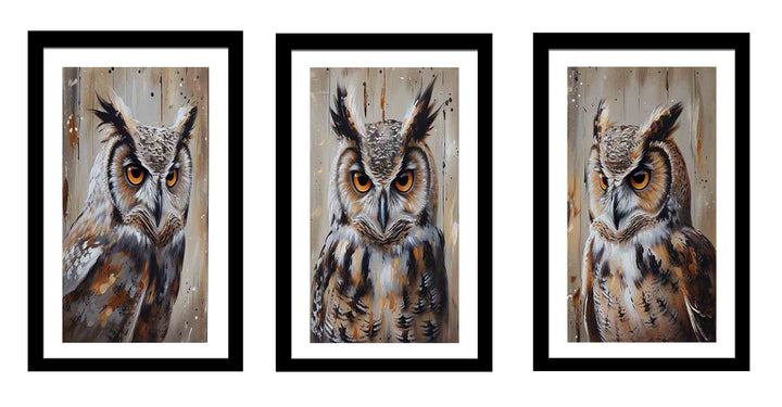 Owl  3 Piece  Art Set